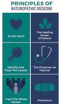 the principles of naturopathic medicine